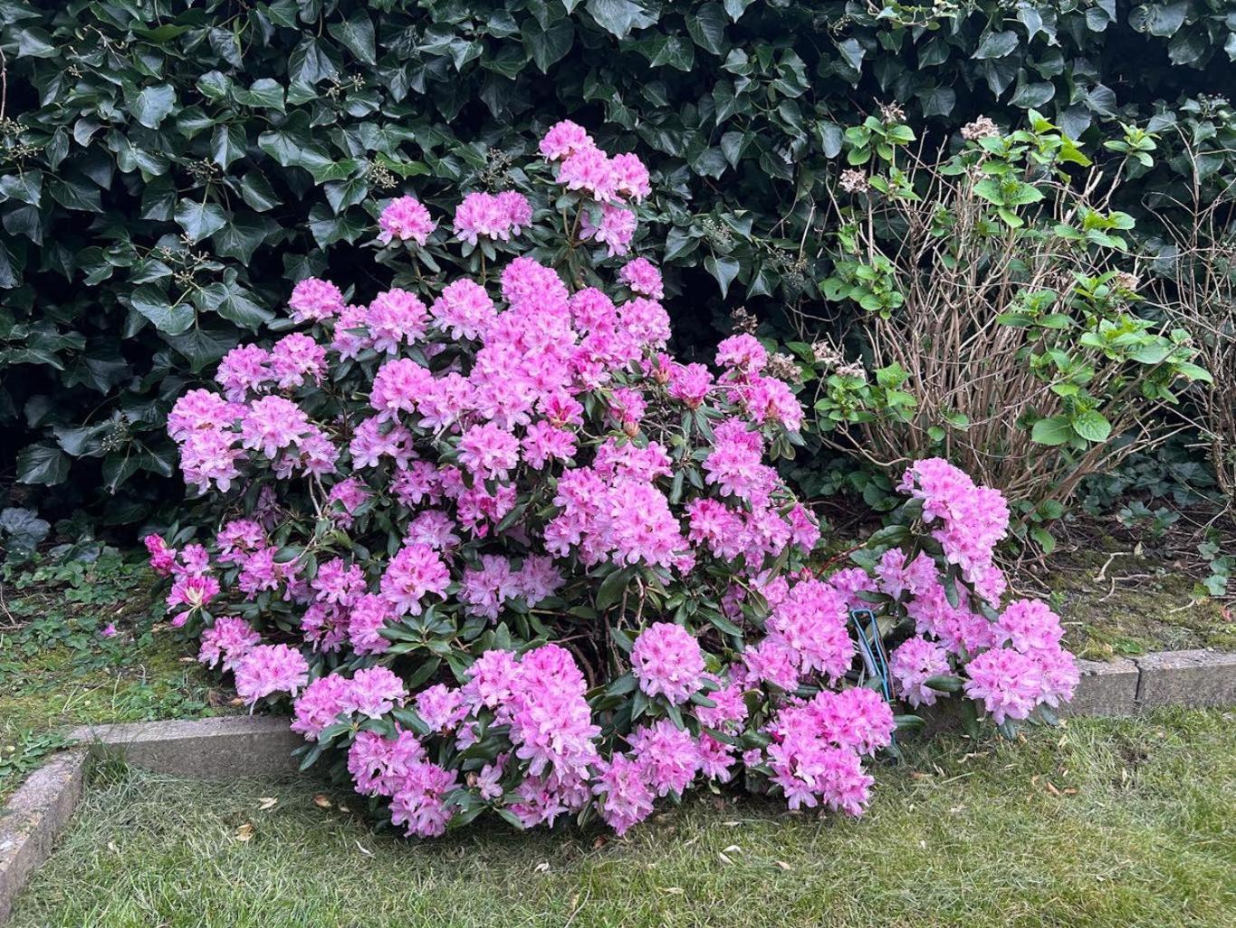 Vakantiehuis Ter Zwaanhoek *